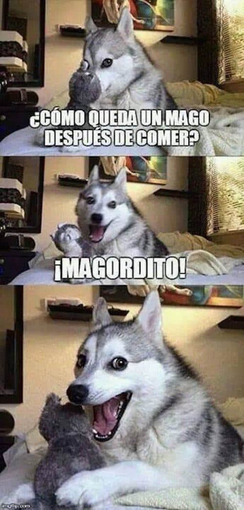 ¿Cómo queda un mago después de comer?